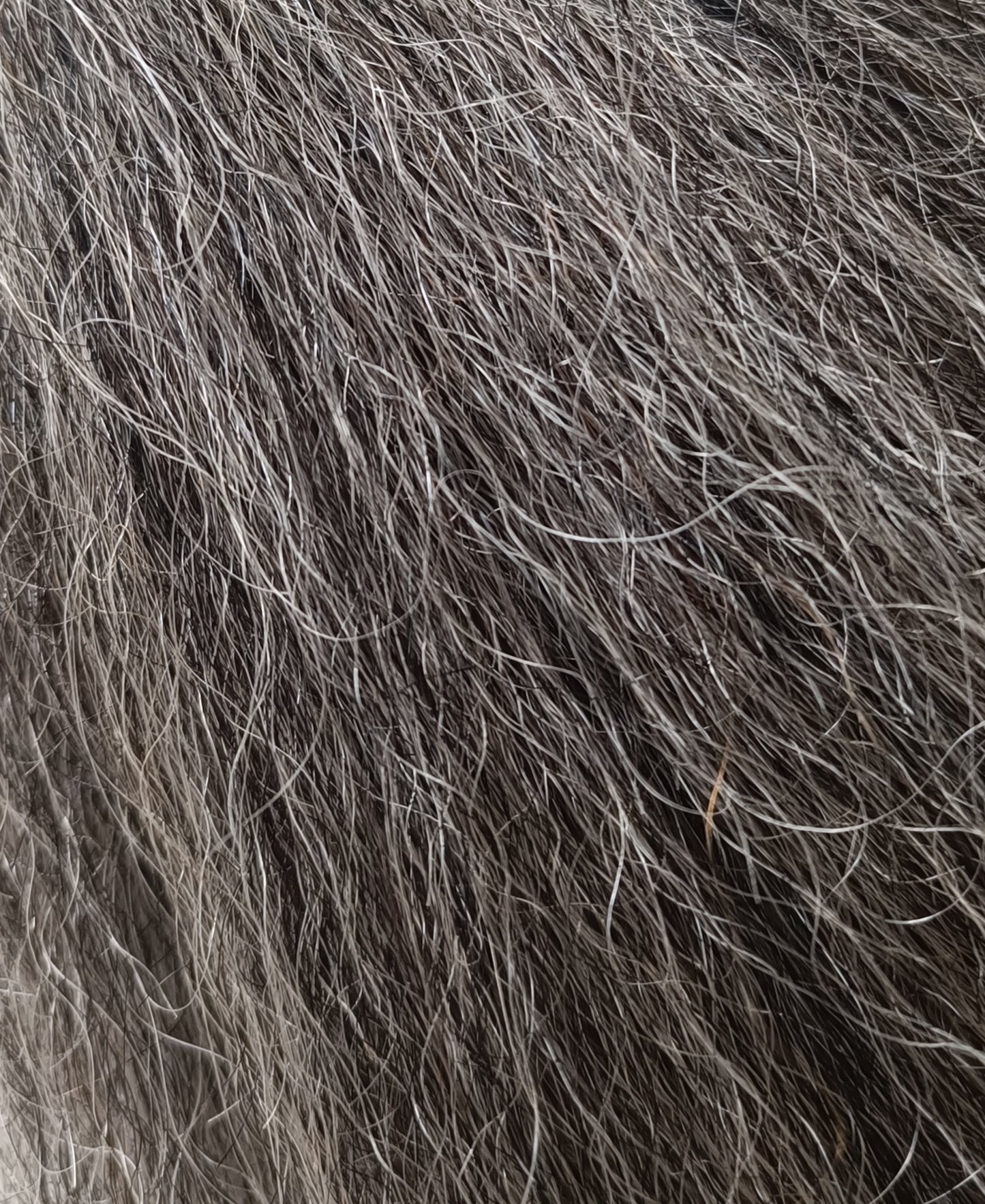 Yak Grey mix 25-30cm